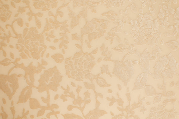 Eloise | Cappuccino Rose