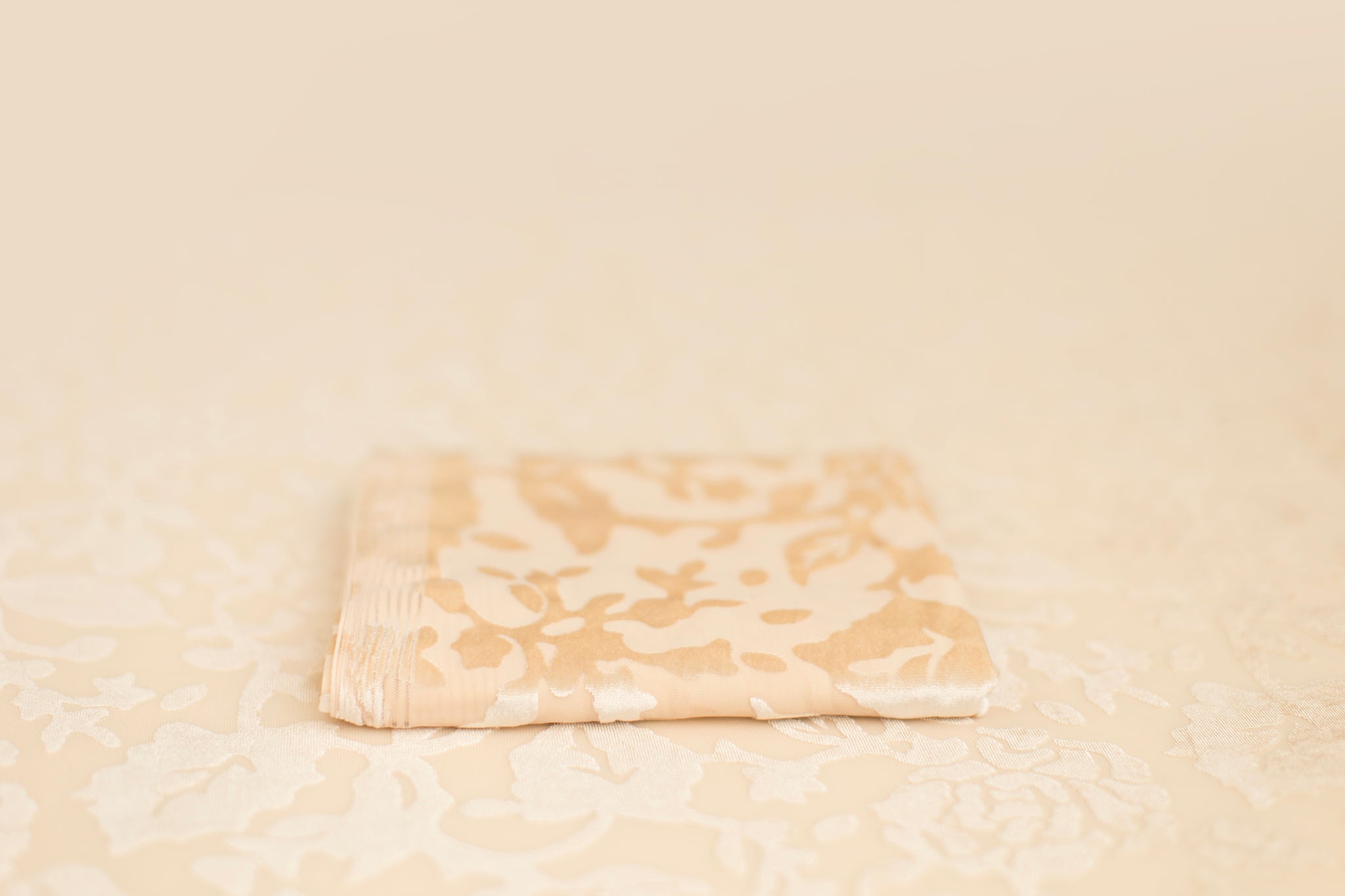 Eloise | Cappuccino Rose