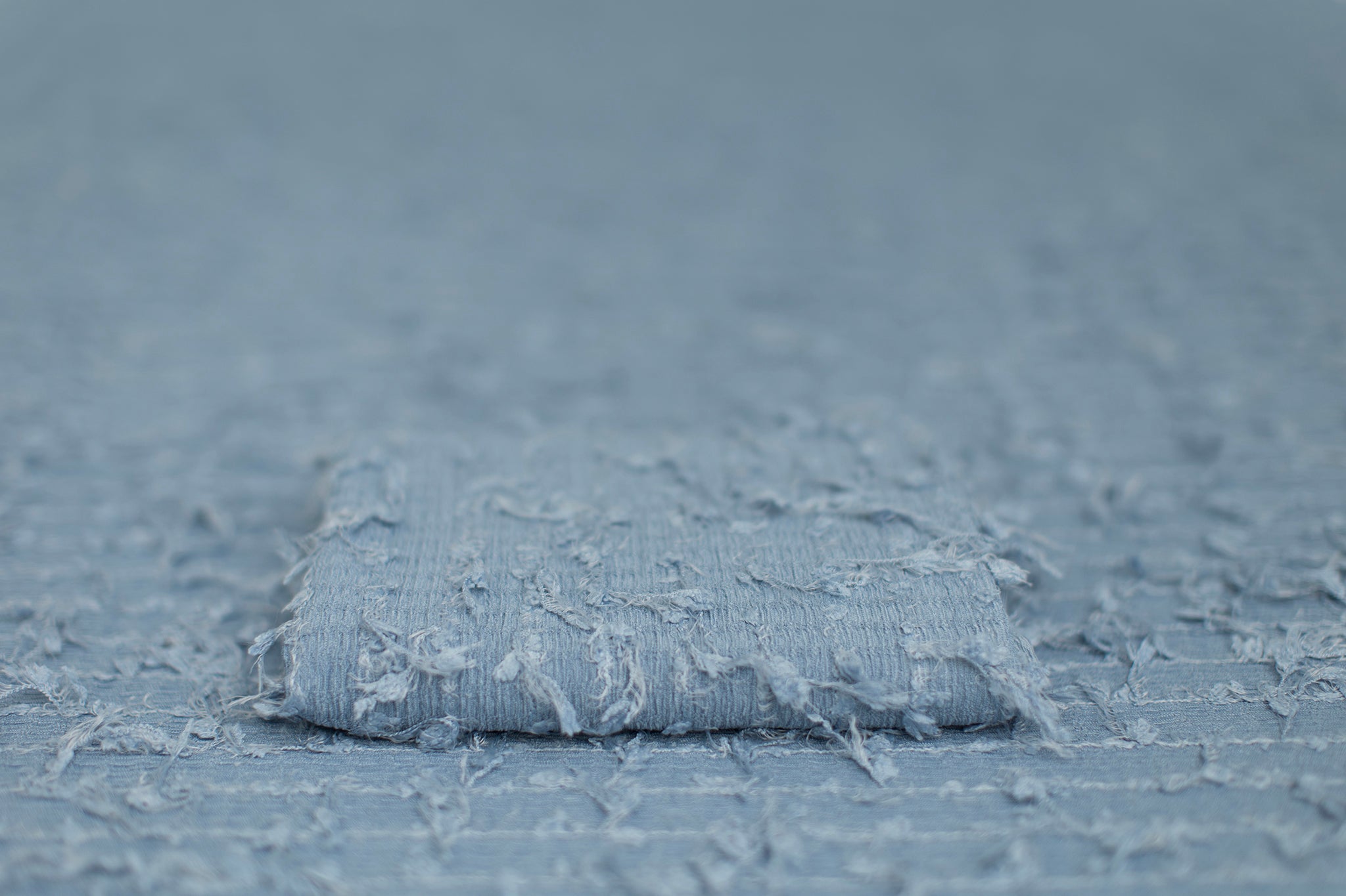 Elphaba | Delphinium