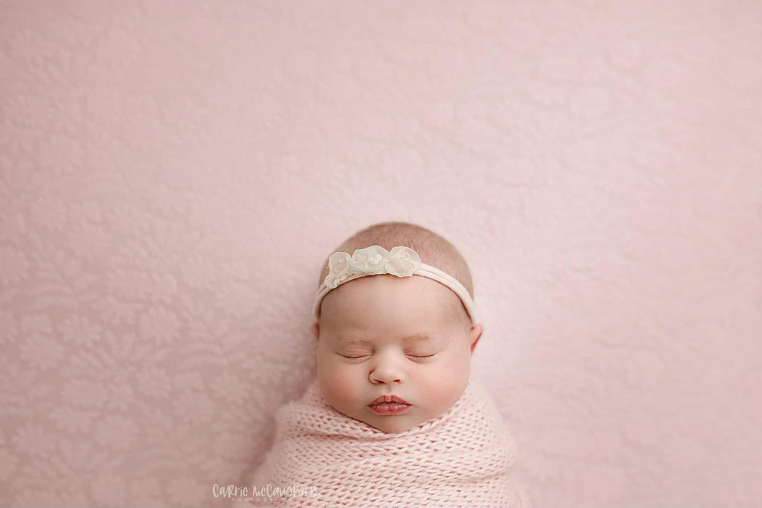 Credit Carrie McCaughtry Photography