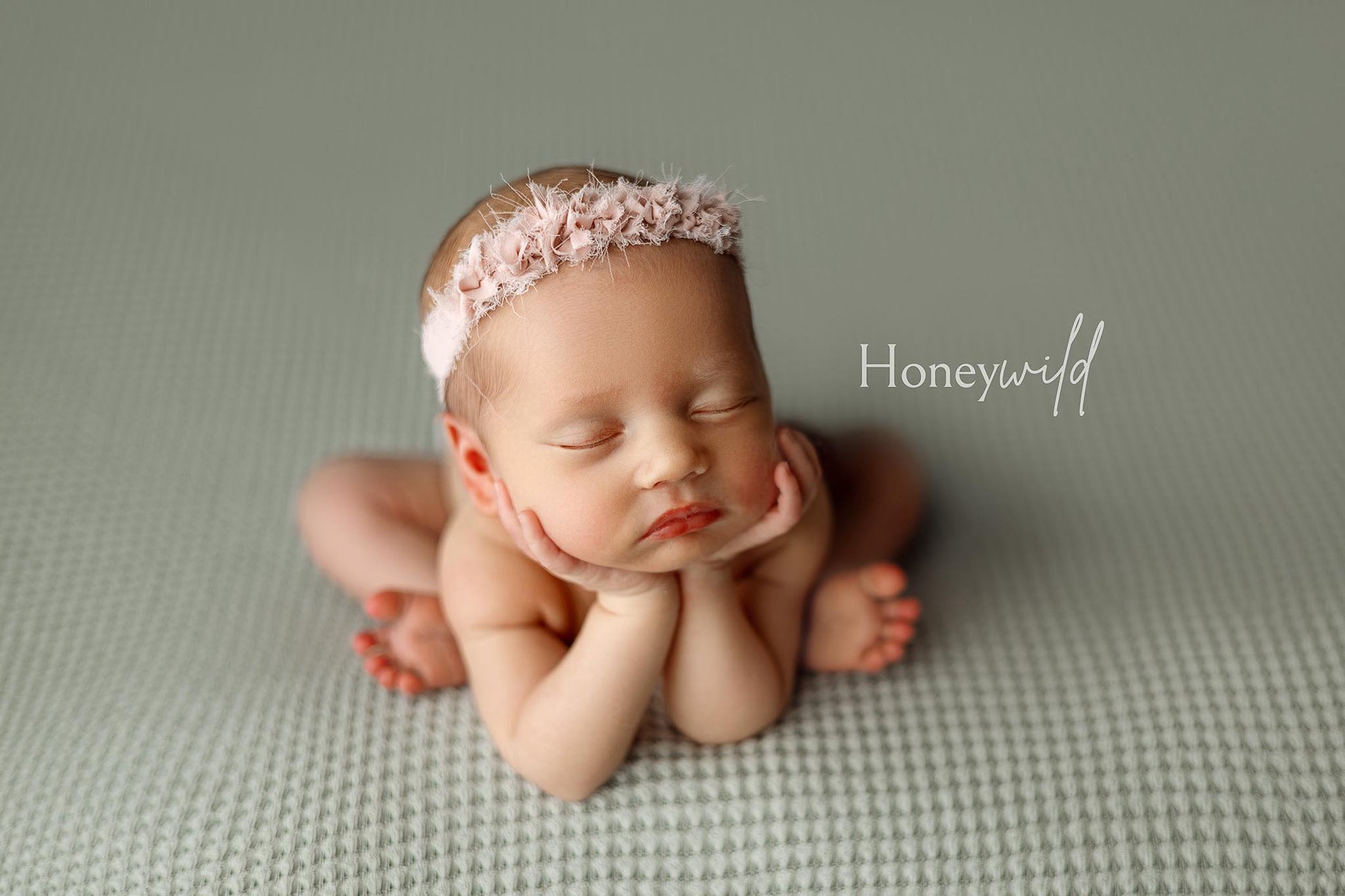 Credit Honeywild Photography
