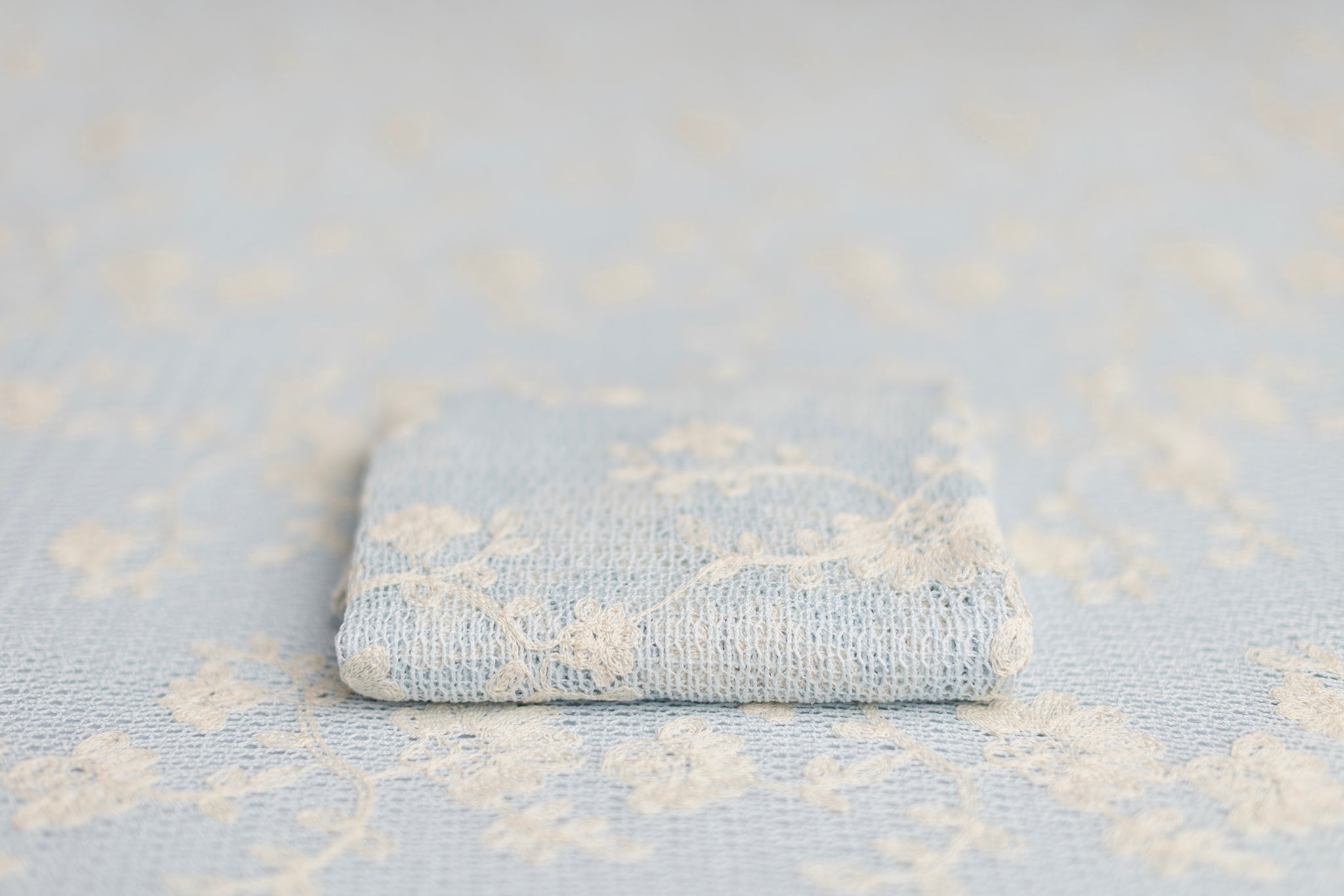 Fanny | Blueberry Milk