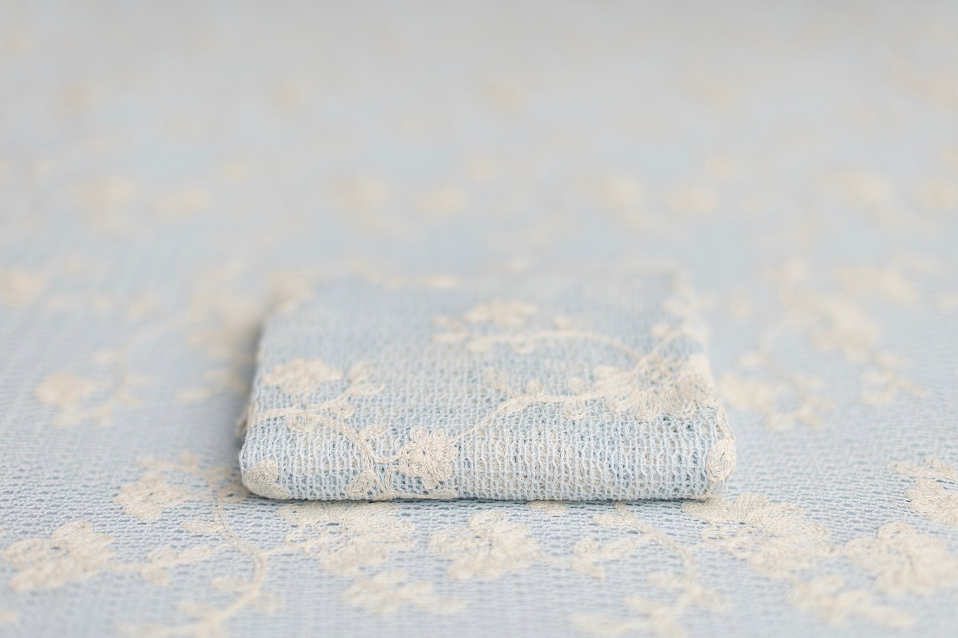 Fanny | Blueberry Milk (OOPS)