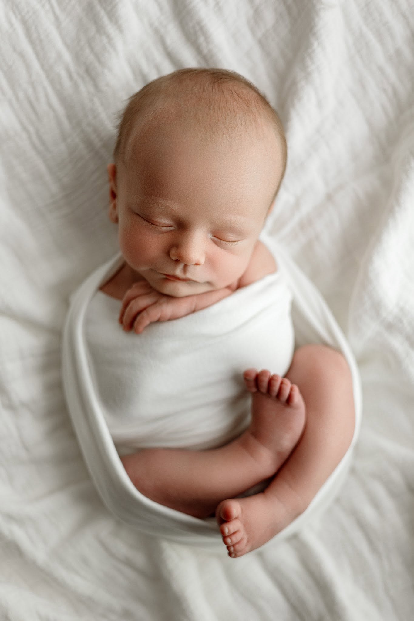 Credit Arielle Elizabeth Photography