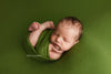 Credit Carrie McCaughtry Photography