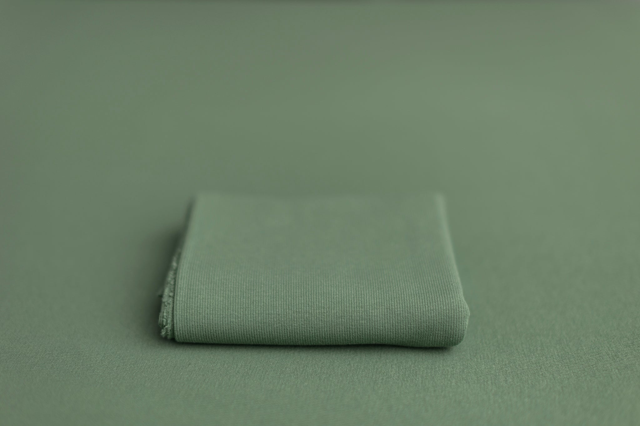 Naughty Fitzgerald | Plant Daddy