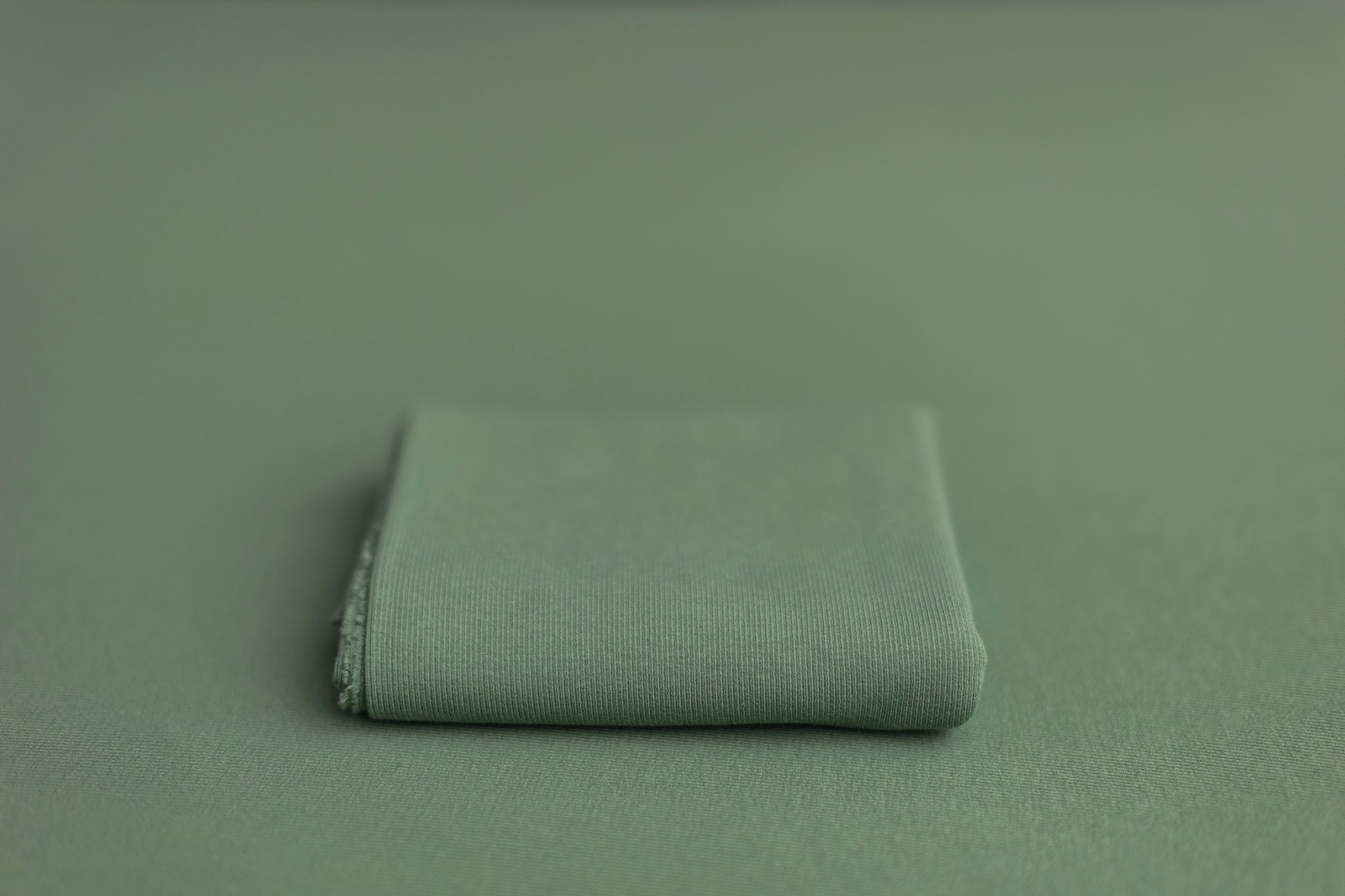 Naughty Fitzgerald | Plant Daddy