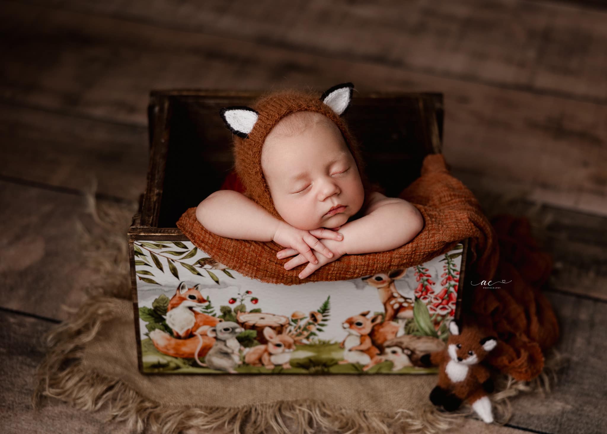 Credit Arielle Elizabeth Photography