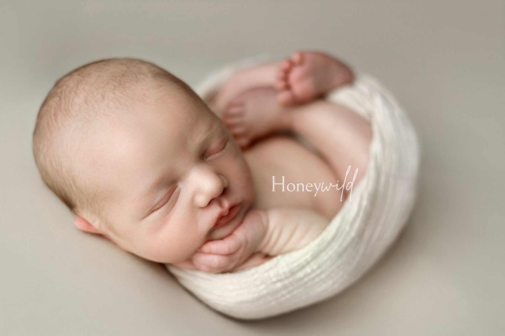 Credit Honeywild Photography