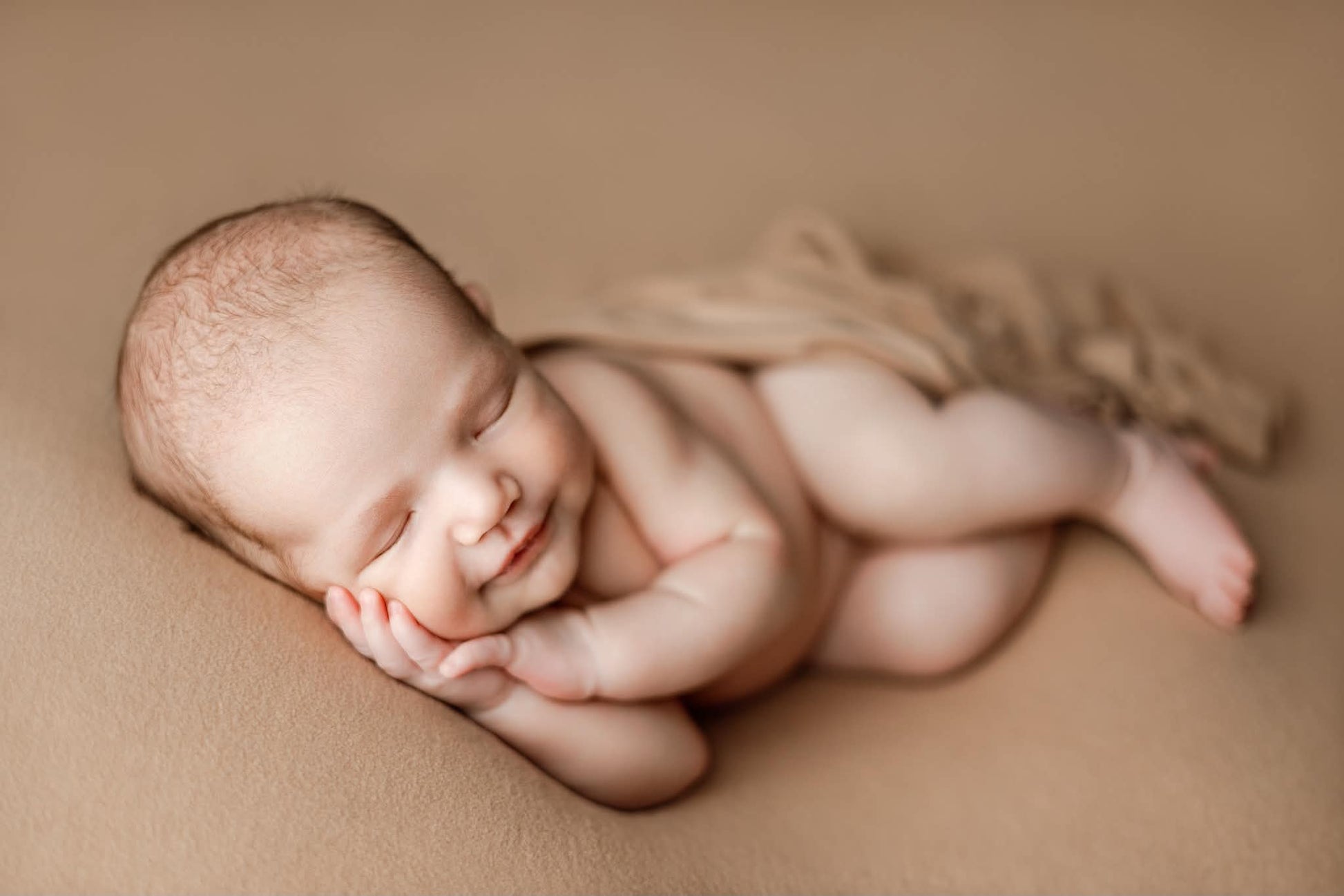 Credit Arielle Elizabeth Photography
