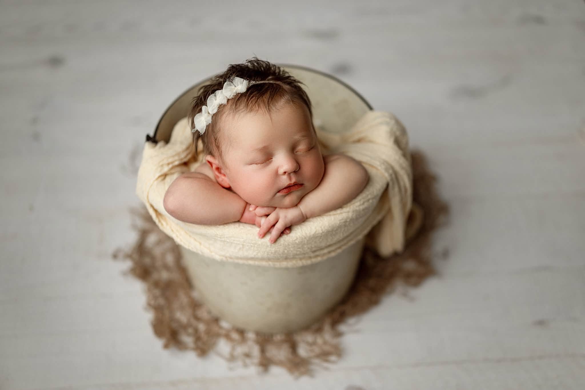 Credit Arielle Elizabeth Photography