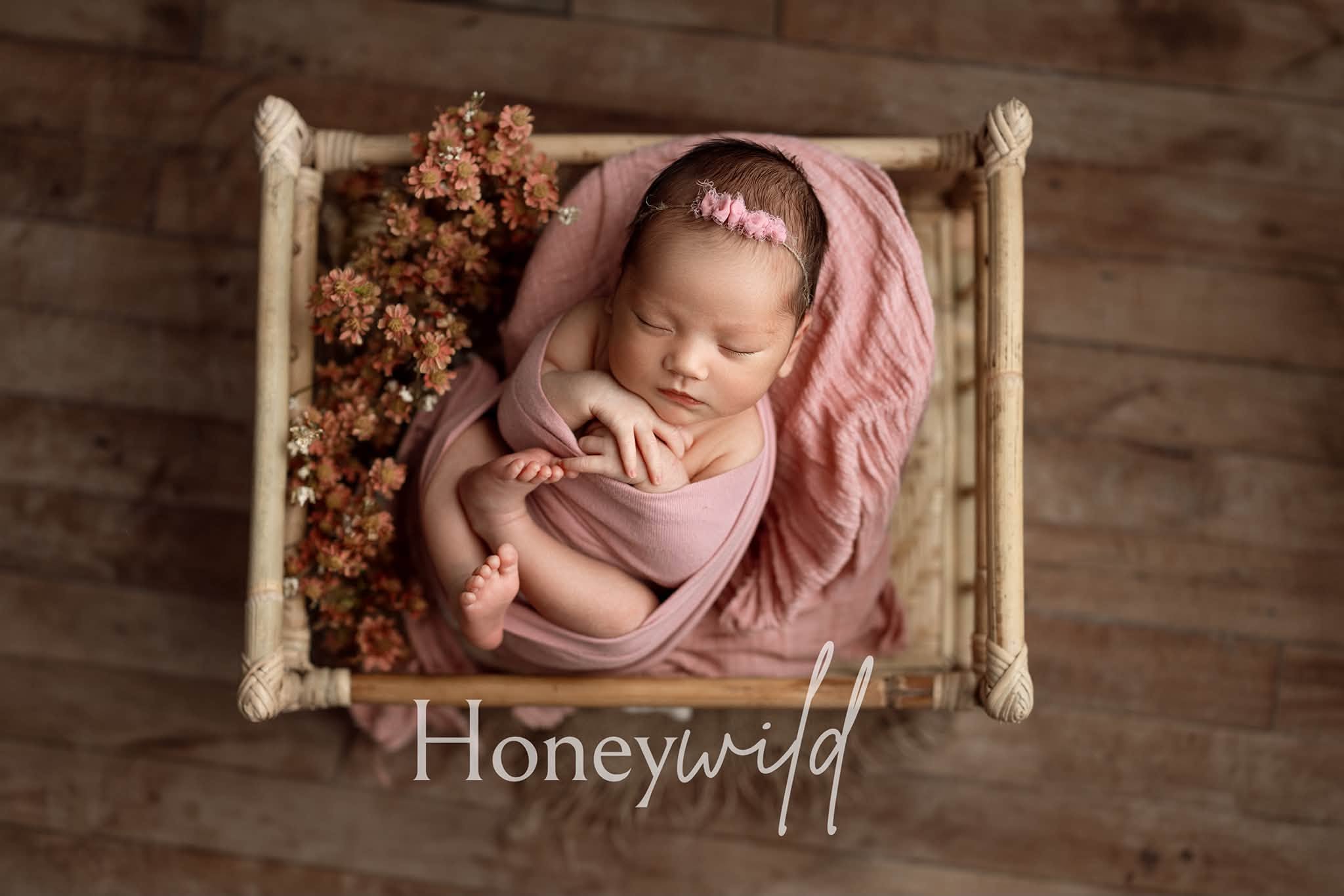 Credit Honeywild Photography