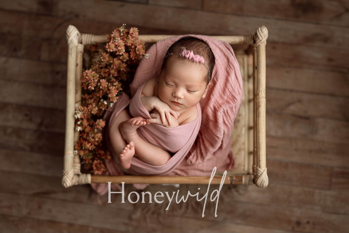 Credit Honeywild Photography