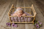 Credit Carrie McCaughtry Photography