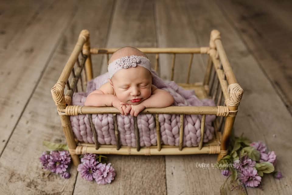 Credit Carrie McCaughtry Photography