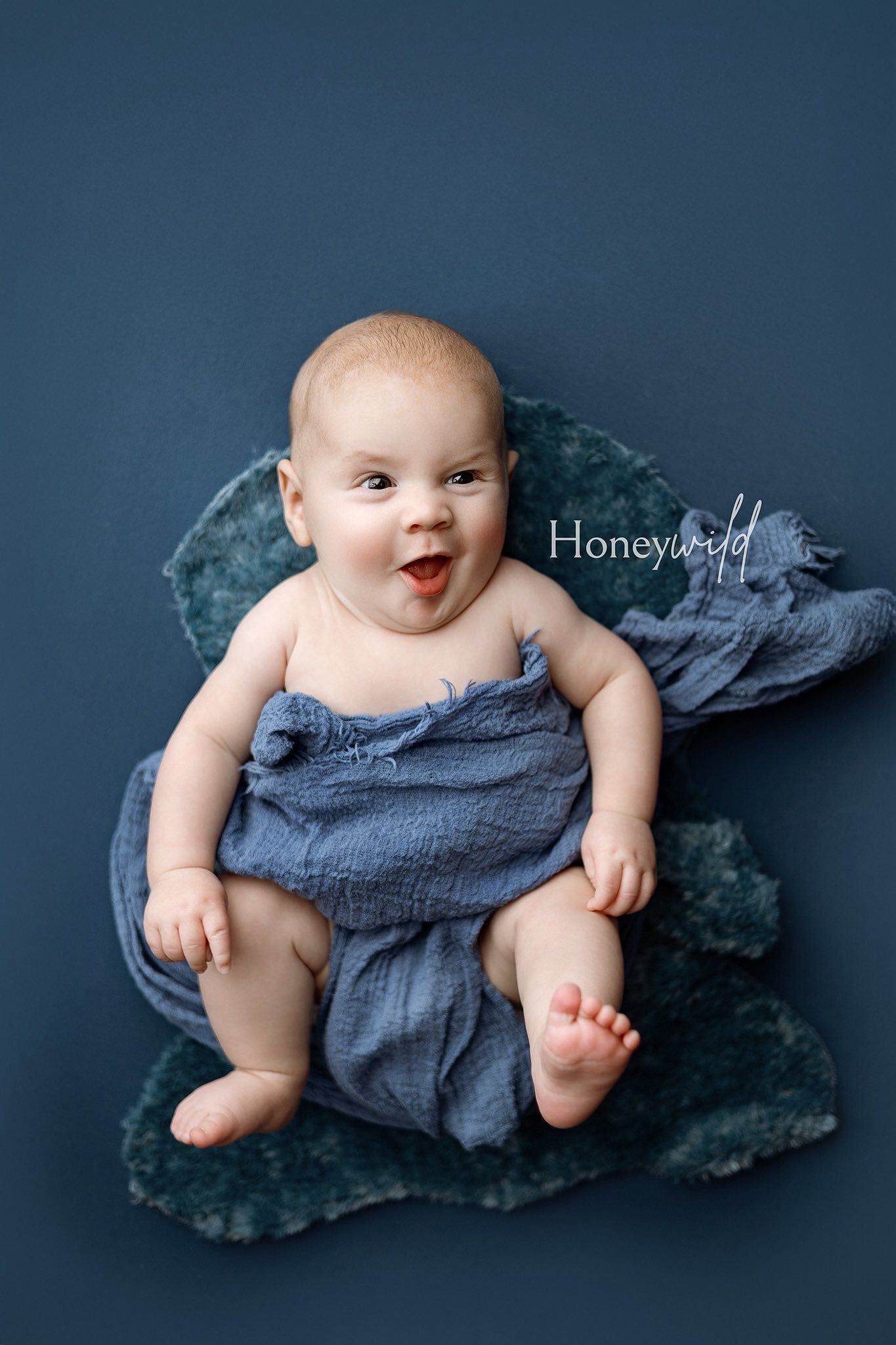 Credit Honeywild Photography