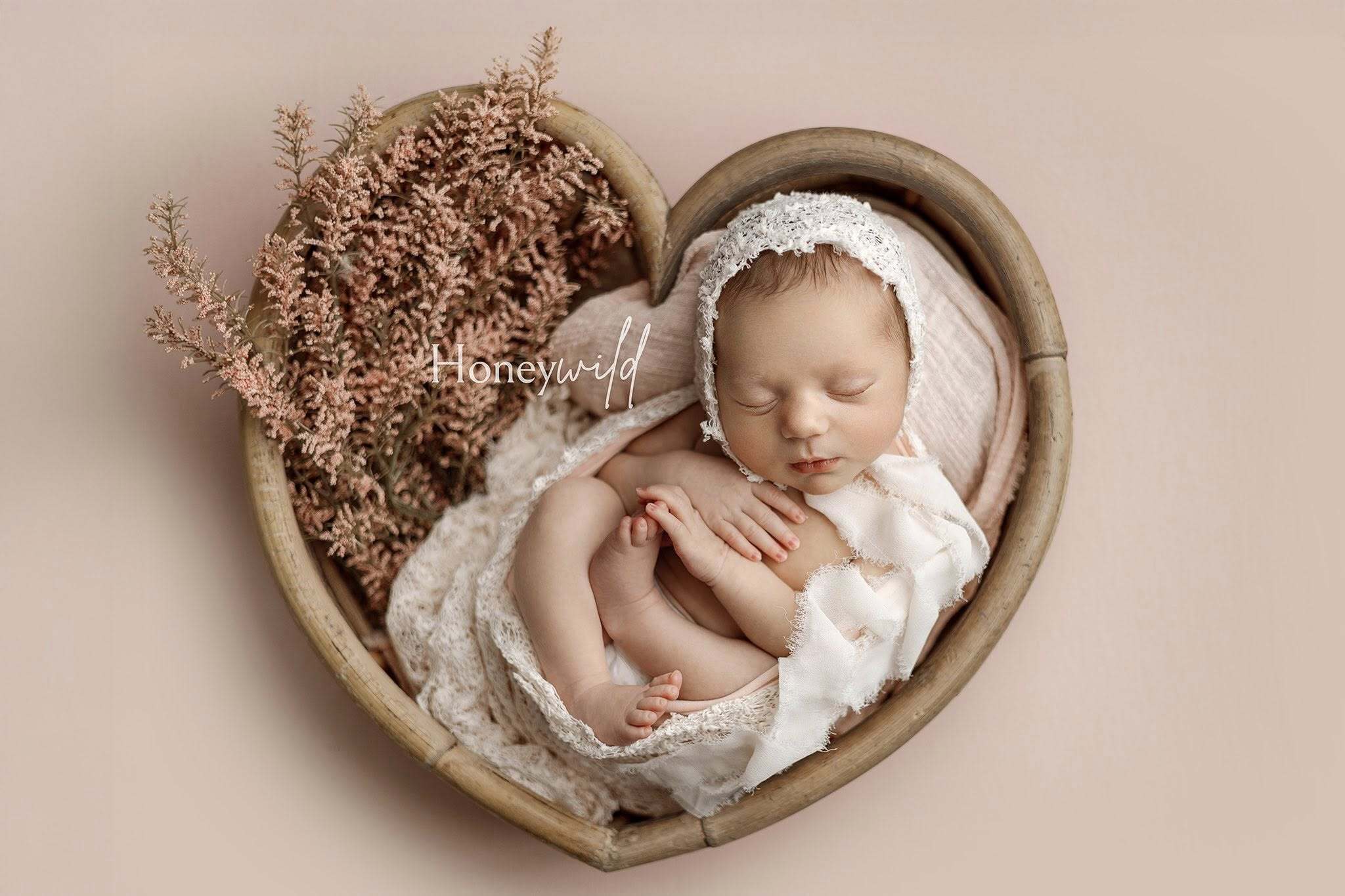 Credit Honeywild Photography