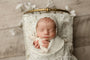Credit Carrie McCaughtry Photography