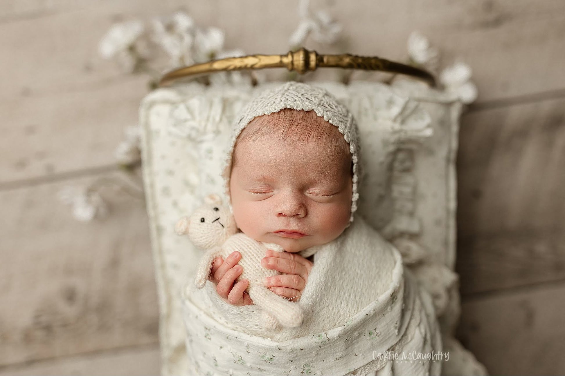 Credit Carrie McCaughtry Photography