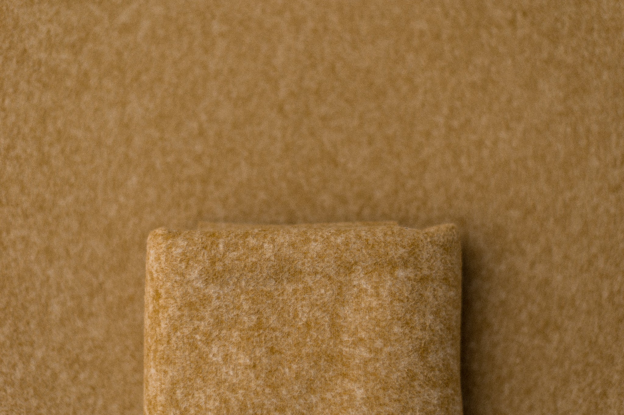Holder | Mustard Seed