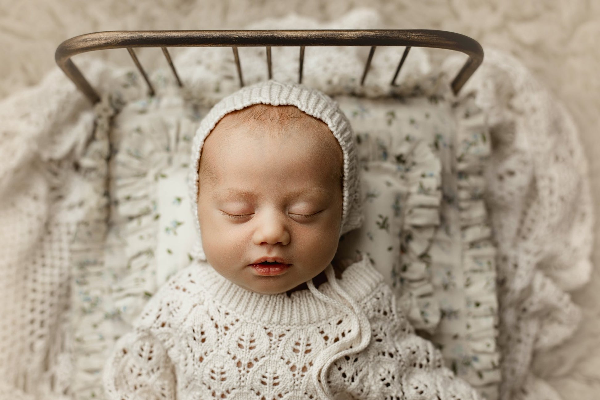 Credit Photography by Allison Scherrer