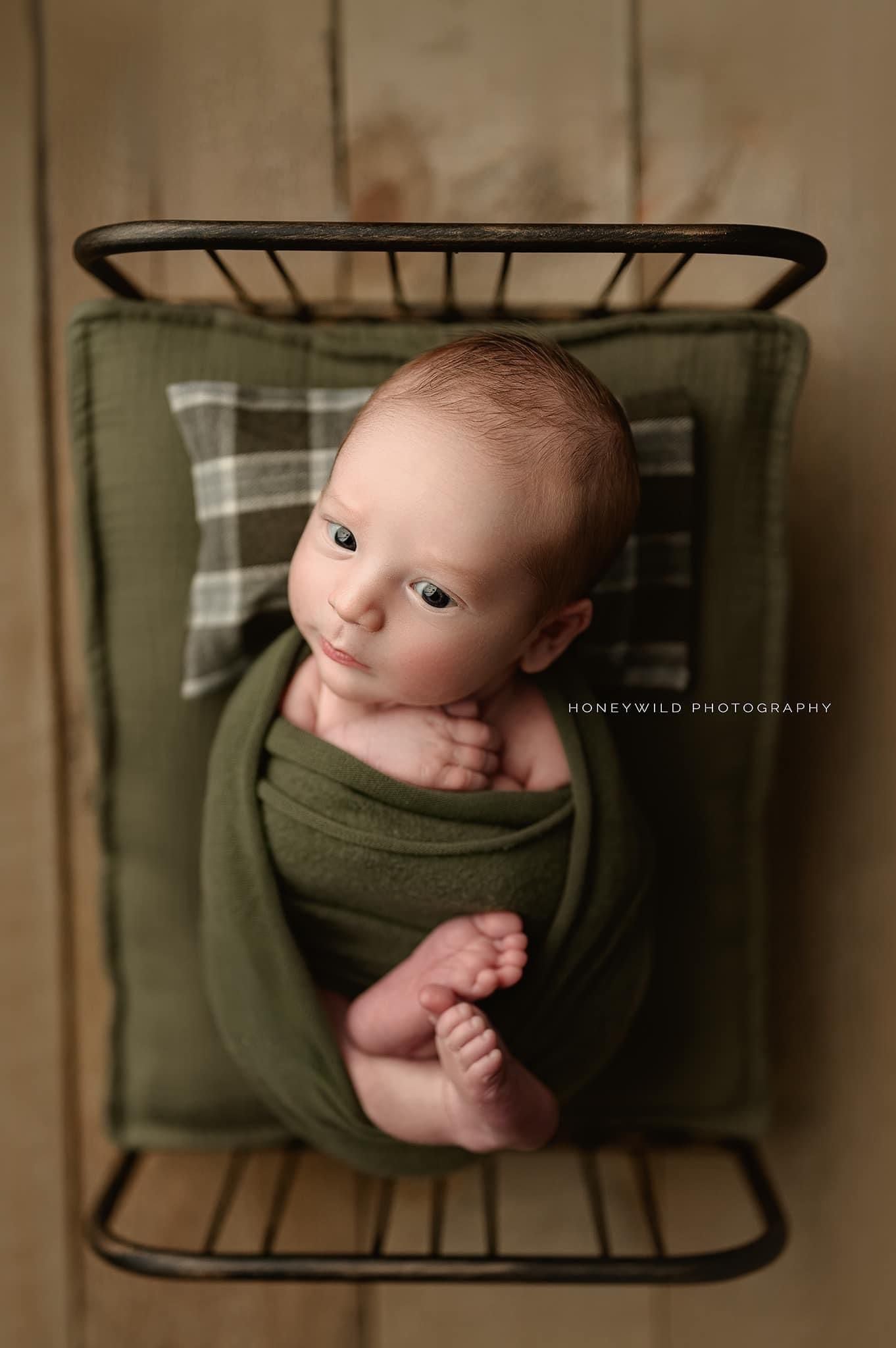 Credit Honeywild Photography