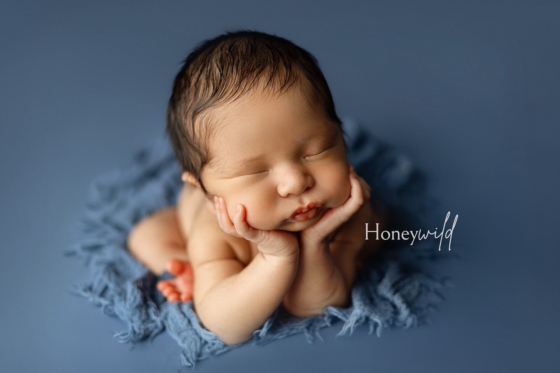 Credit Honeywild Photography