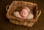 Credit Haleigh Lyn Photography