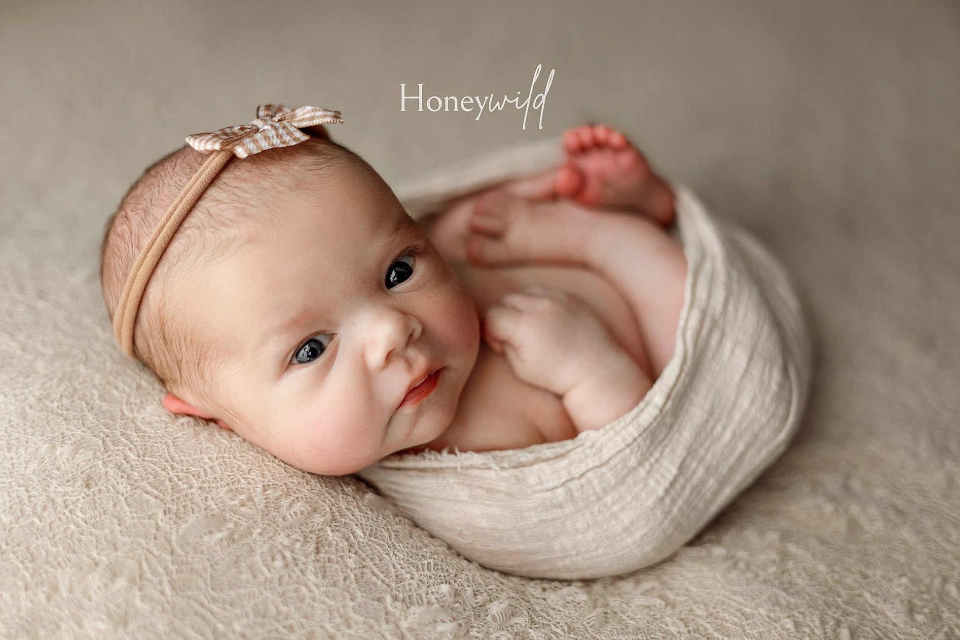 Credit Honeywild Photography 