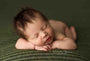 Credit Kimberly Diane Photography
