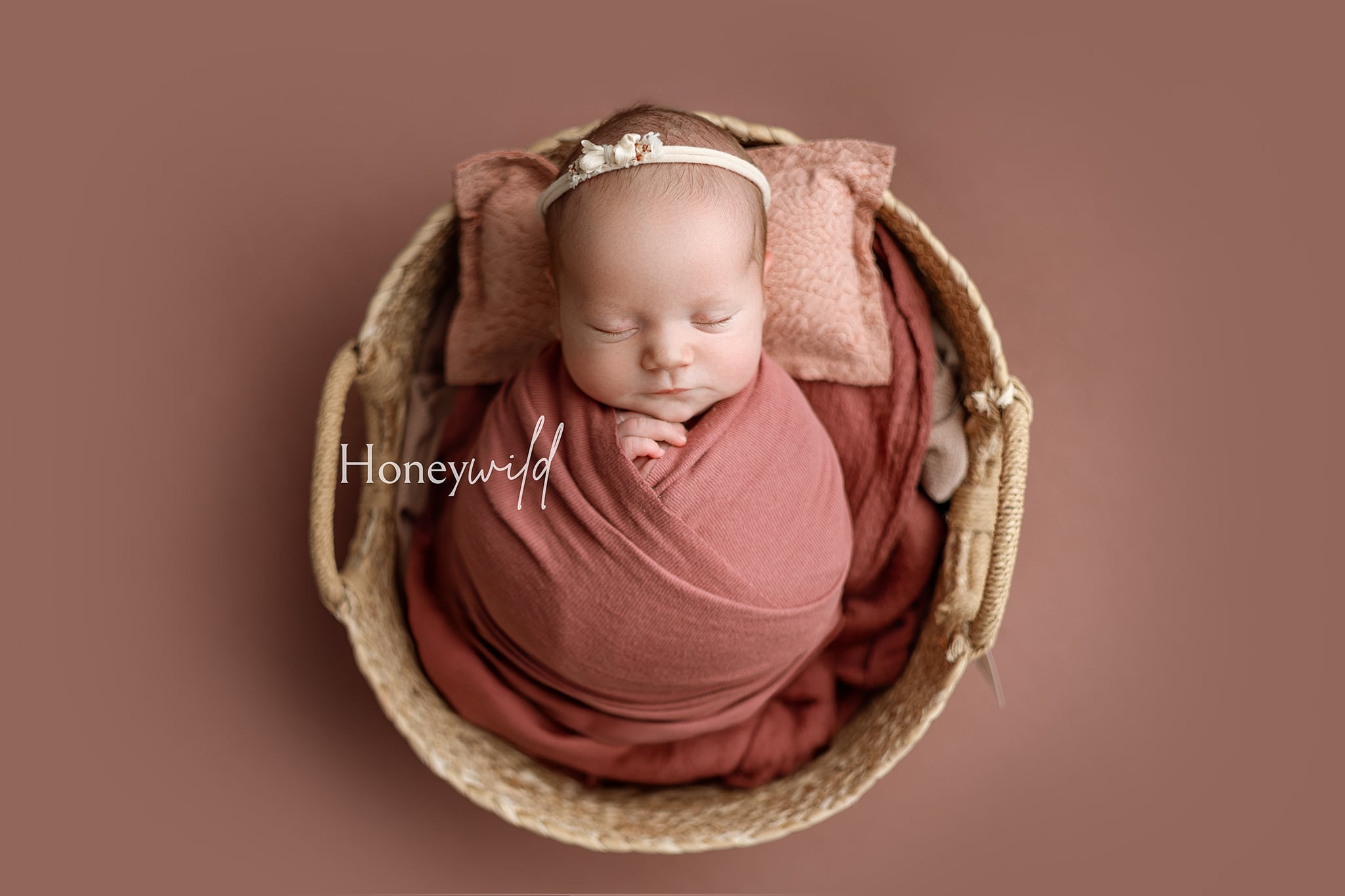 Credit Honeywild Photography 