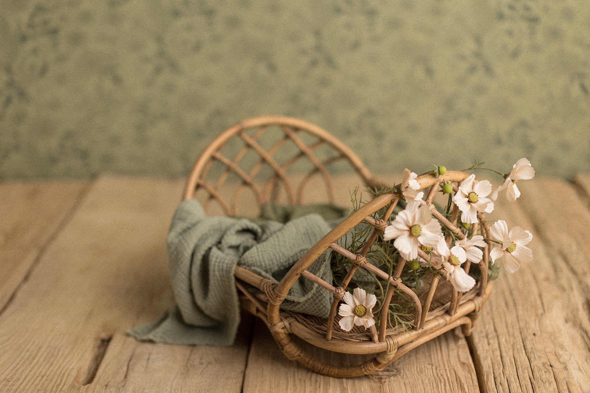 laundry day collection