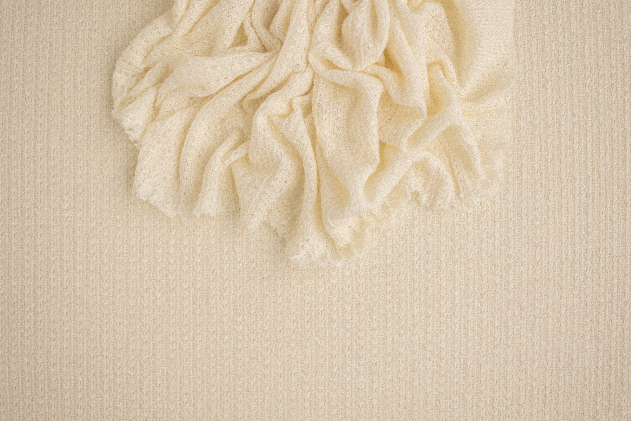 Ilya | Heavy Cream (OOPS)