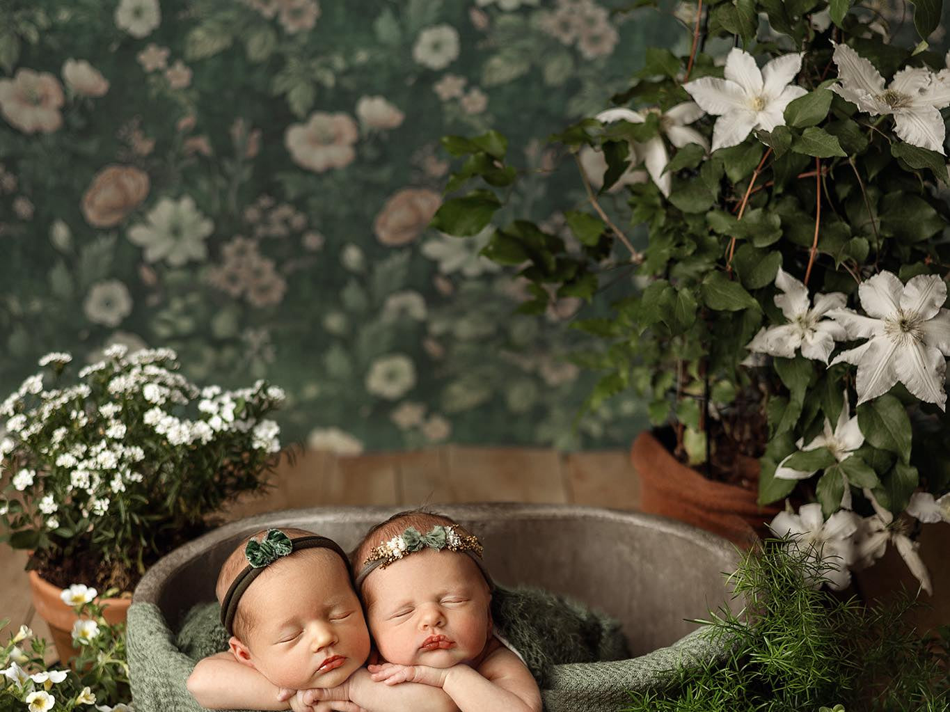 Credit Honeywild Photography