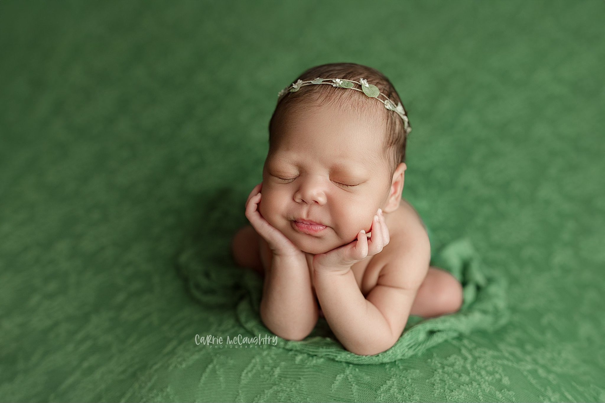 Credit Carrie McCaughtry Photography