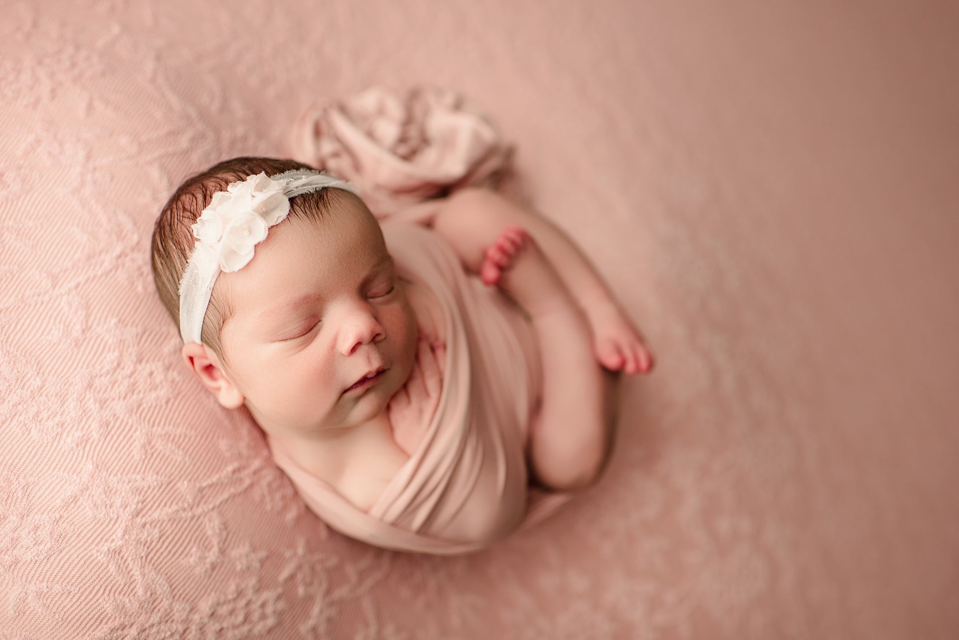 Credit Lindsey Reid Photography