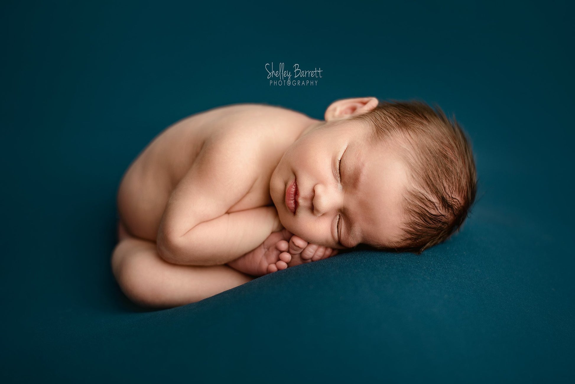 Credit Shelley Barrett Photography