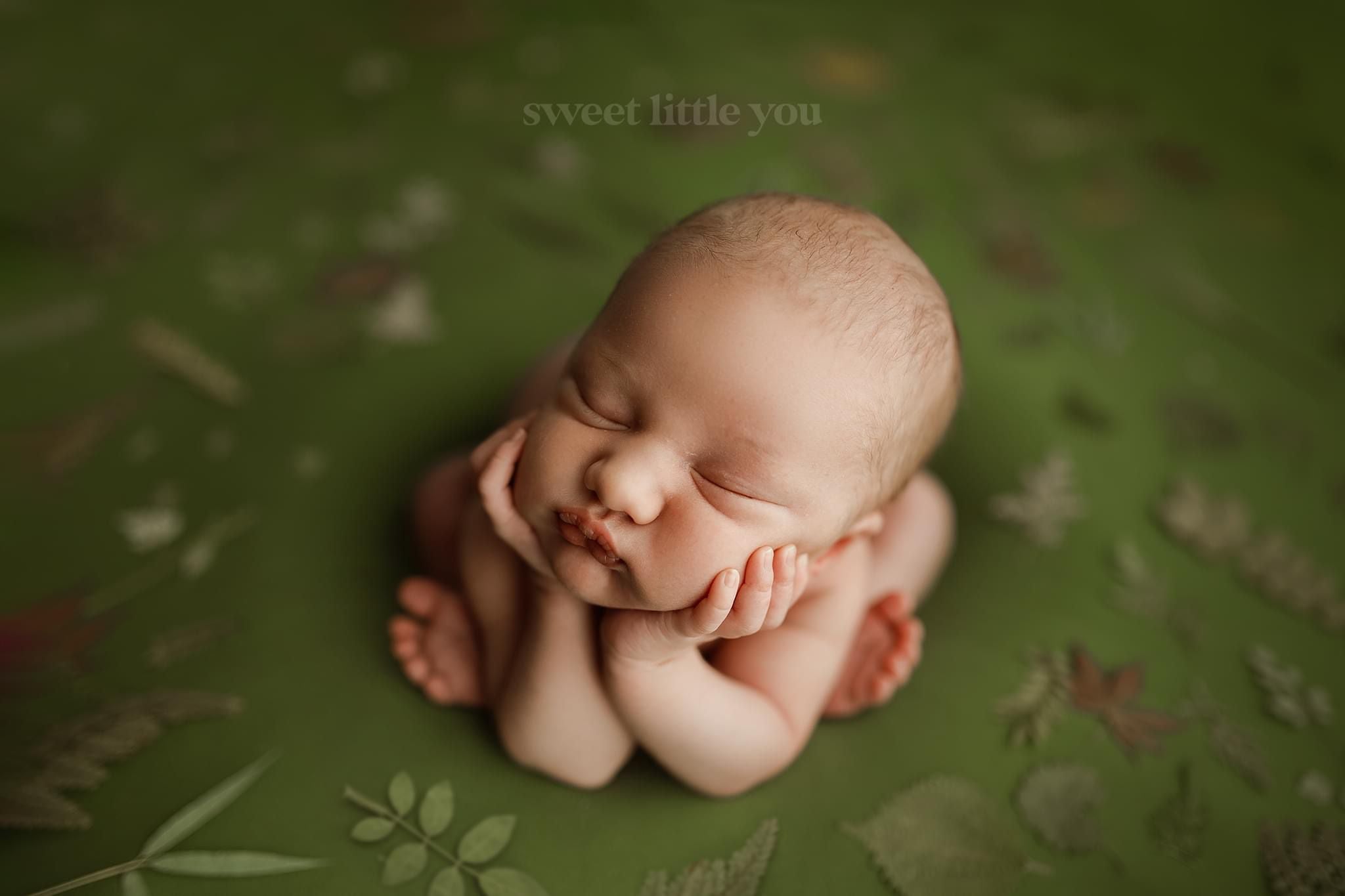 Credit Sweet Little You