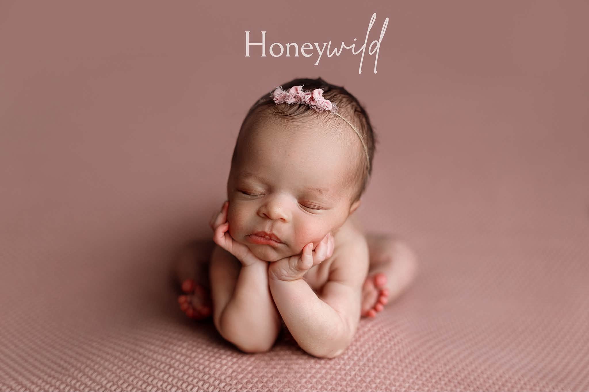 Credit Honeywild Photography