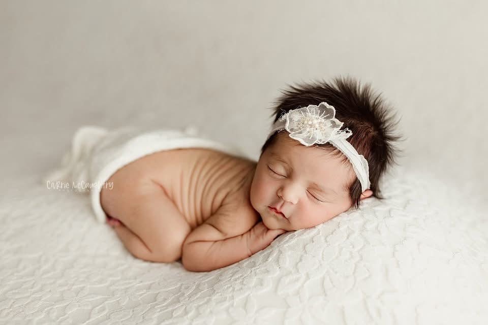 Credit Carrie McCaughtry Photography