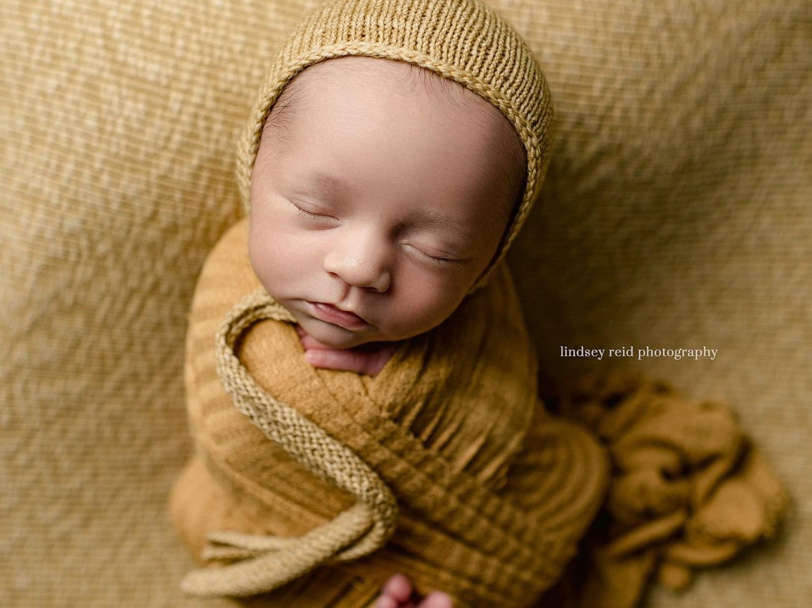 Credit Lindsey Reid Photography