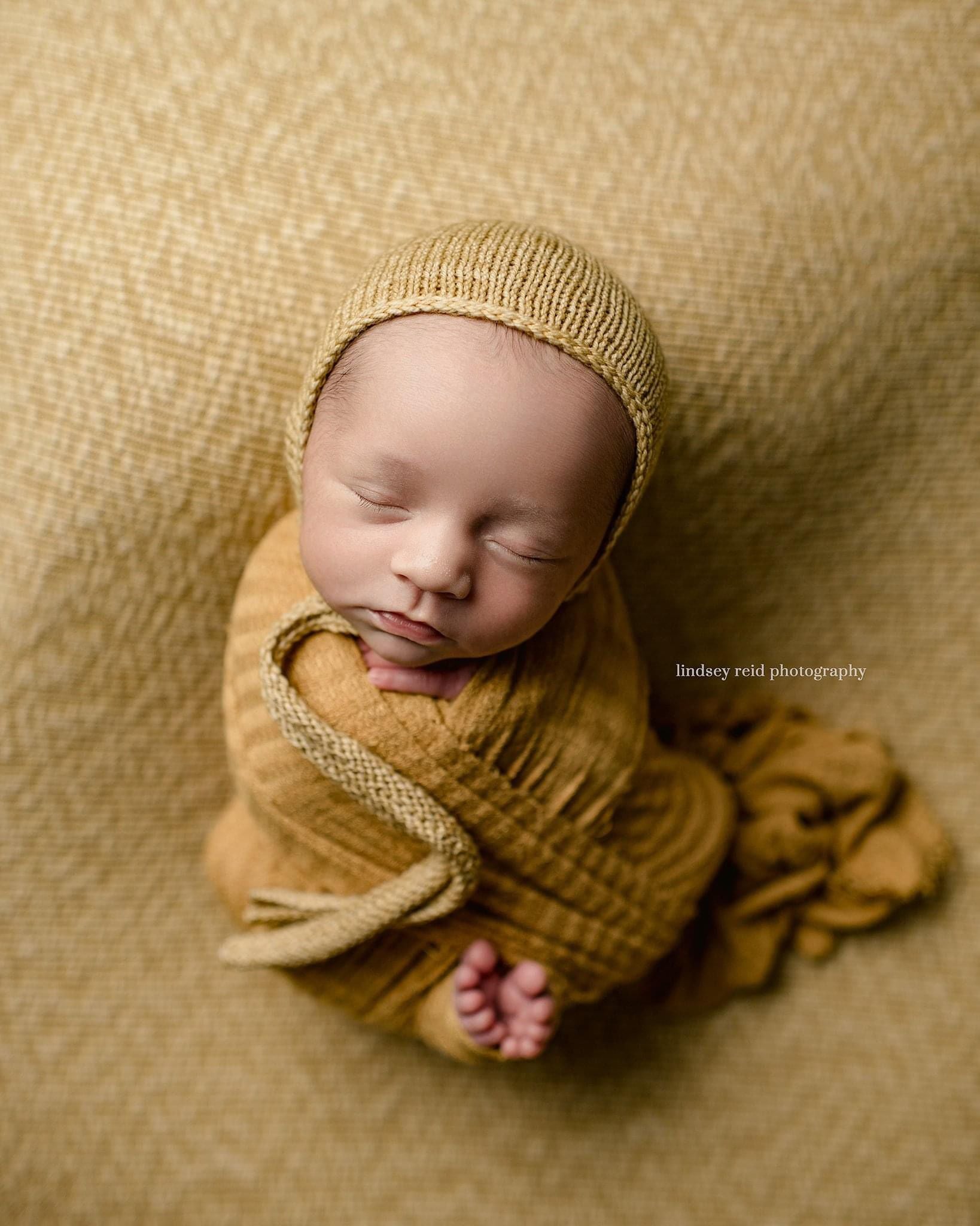 Credit Lindsey Reid Photography