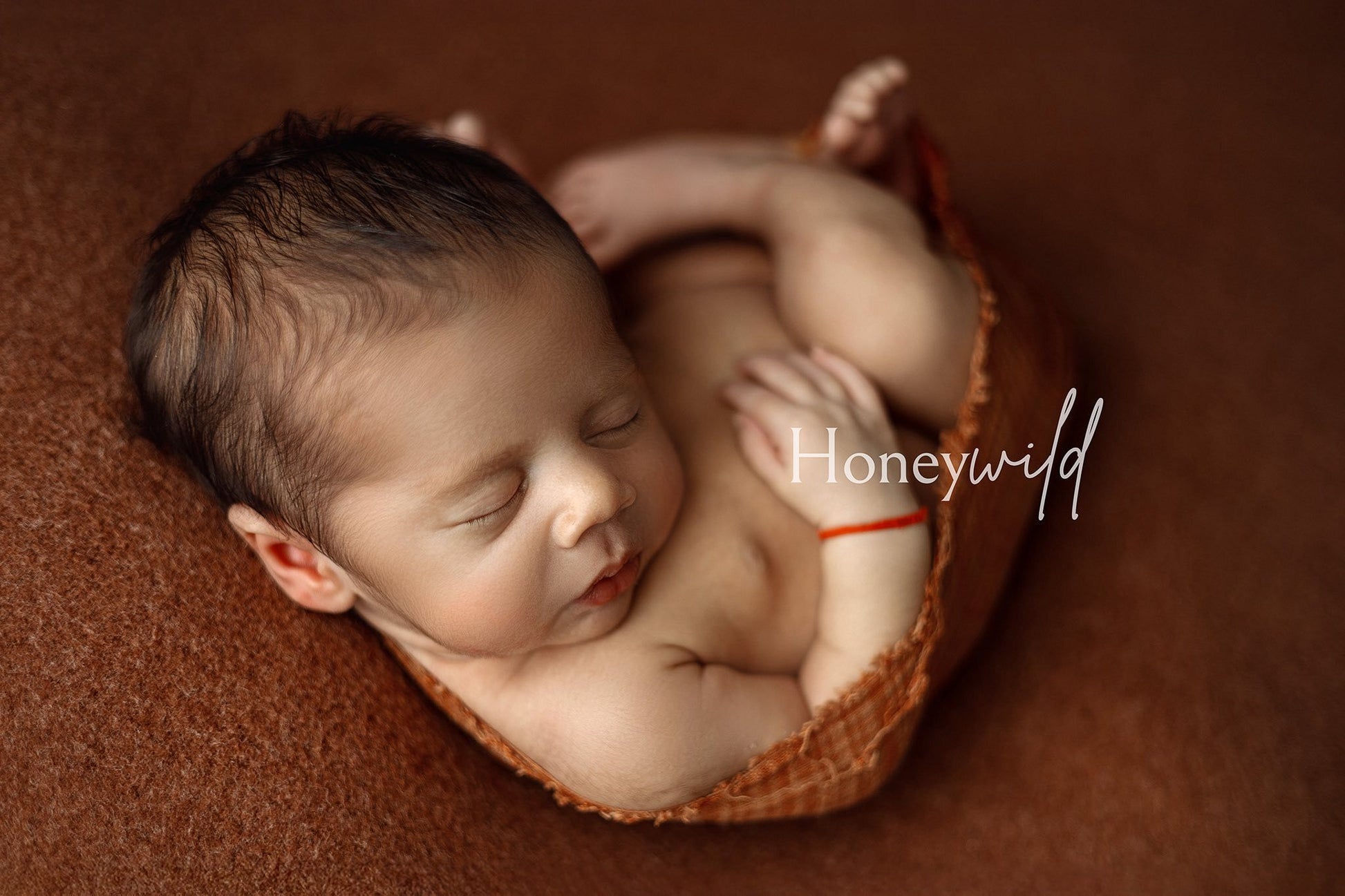 Credit Honeywild Photography