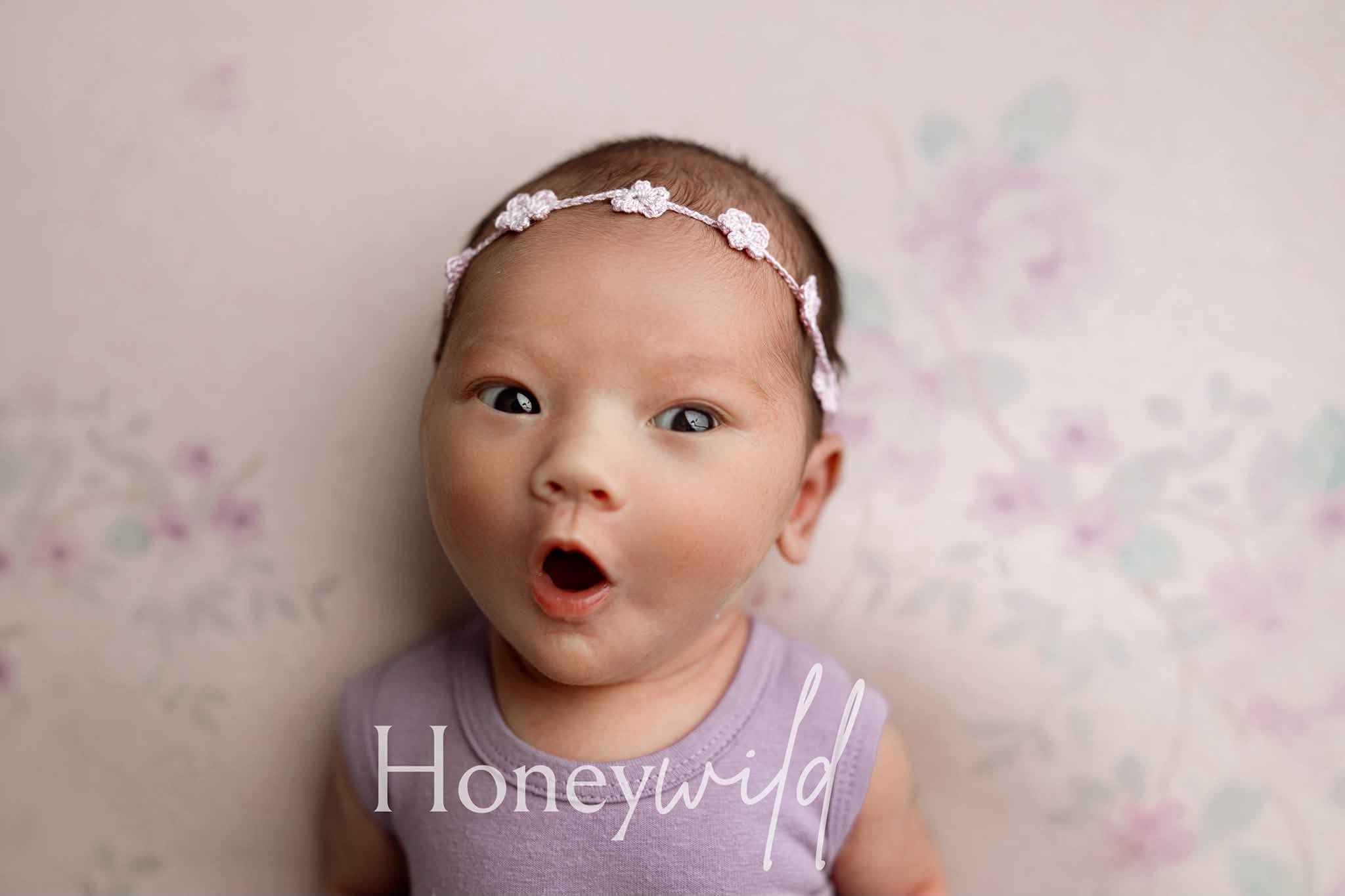 Credit Honeywild Photography