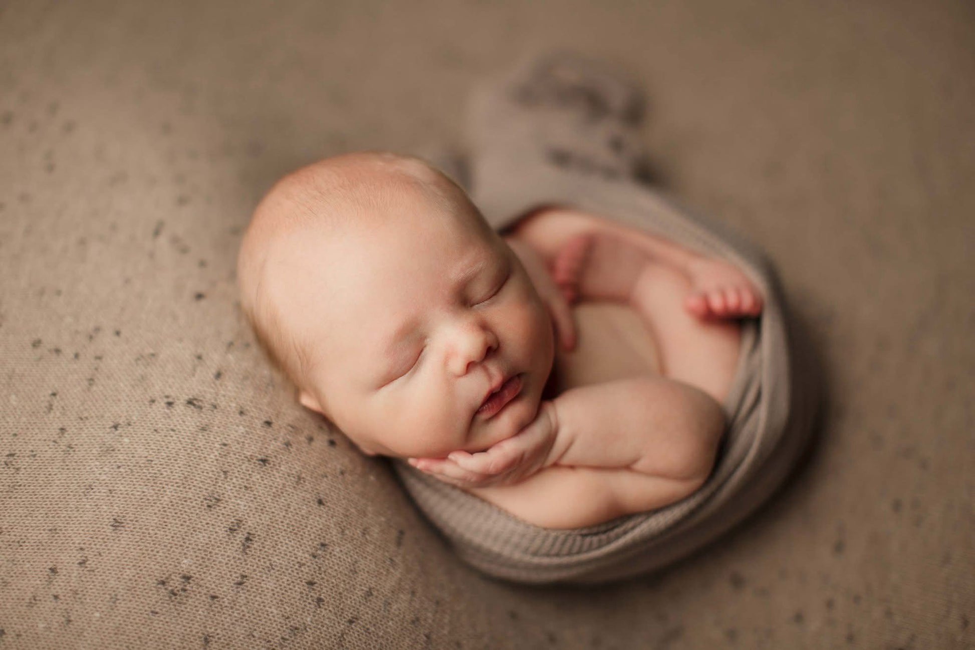Credit Hello Little Studios