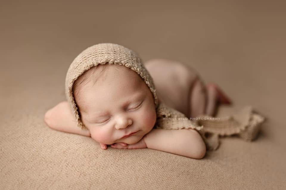 Credit Honeywild Photography