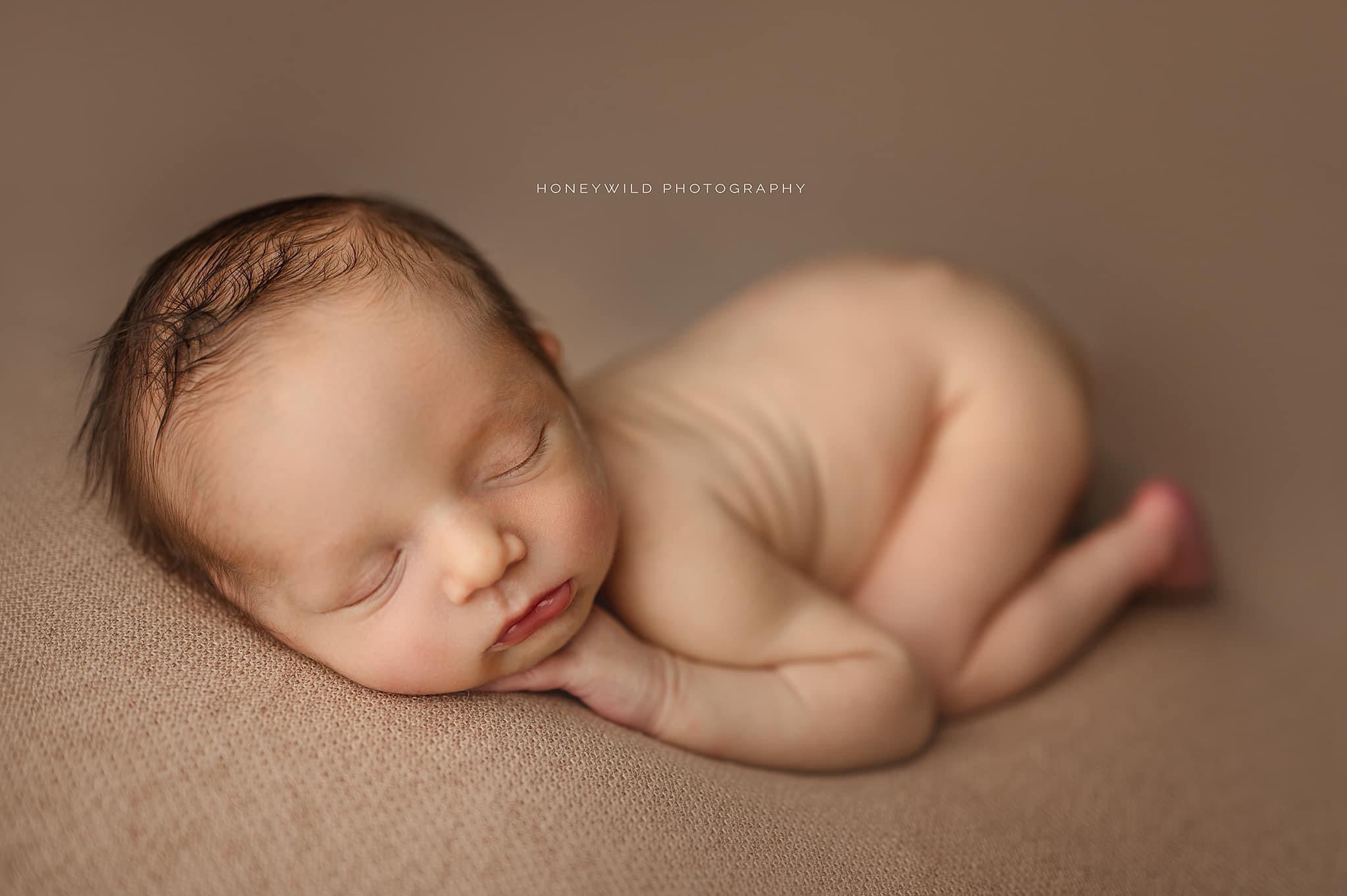 Credit Honeywild Photography