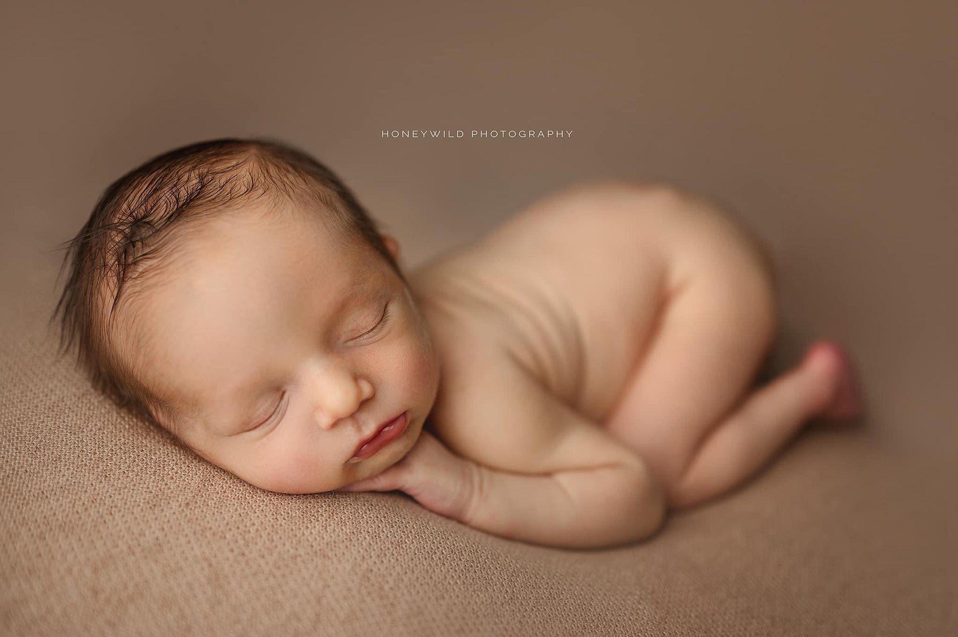 Credit Honeywild Photography