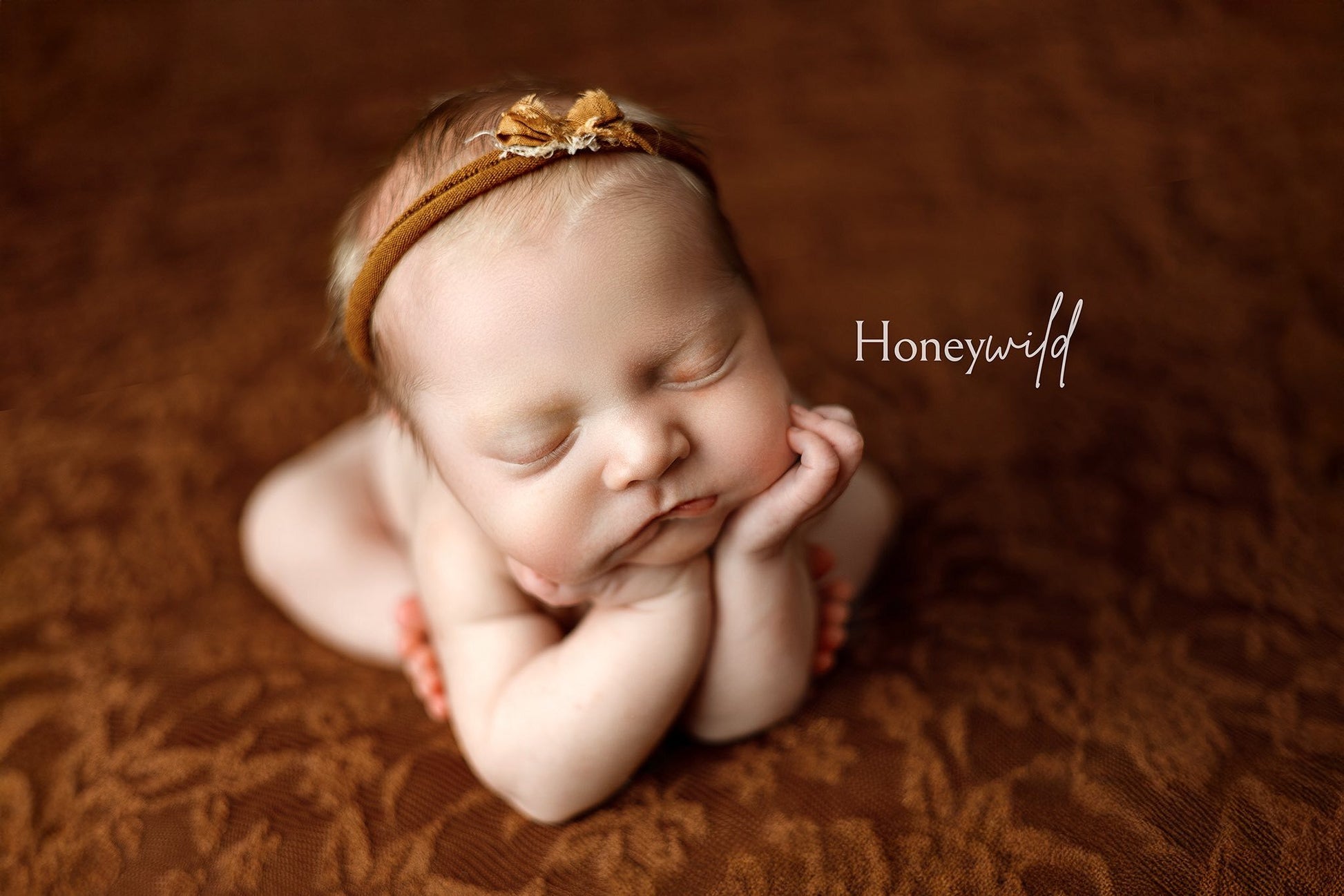 Credit Honeywild Photography