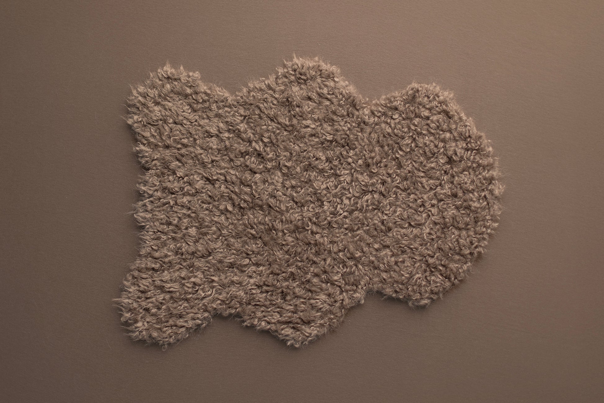 Long Shaggy Happy Fur